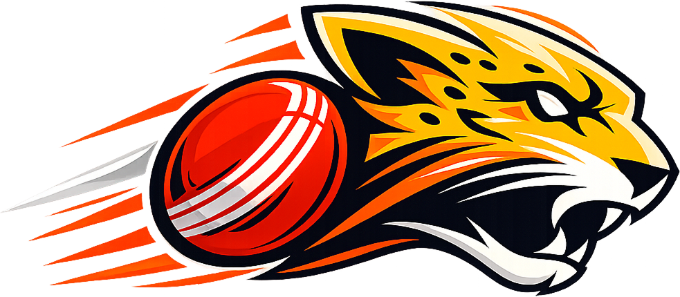 TBC logo
